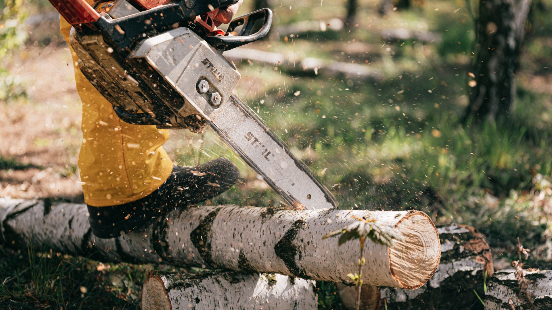 Person resting foot on log and using chainsaw.