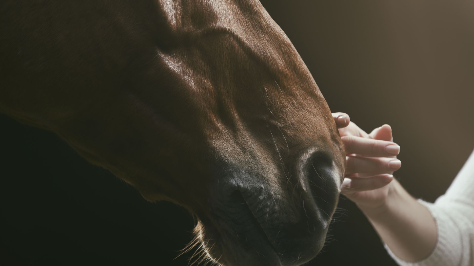 EDC equine student with horse.