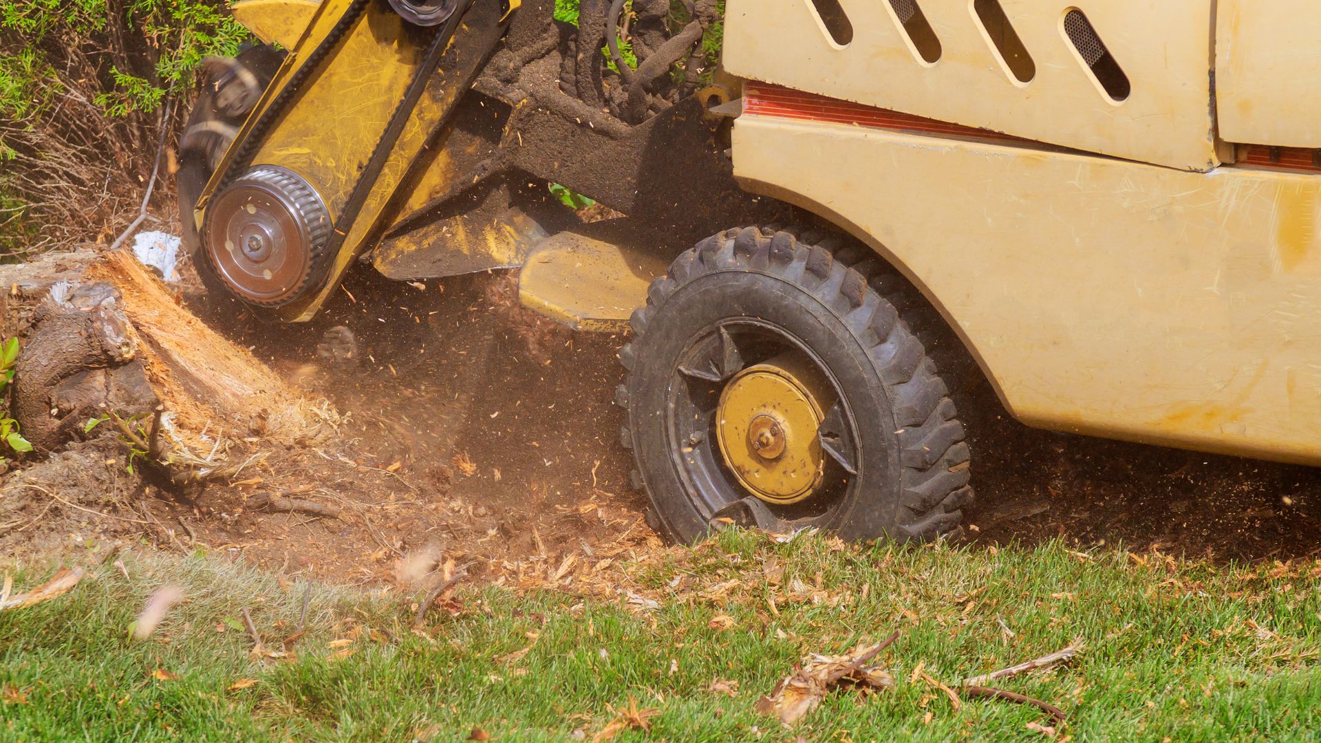 Close up of stump grinder wheels.