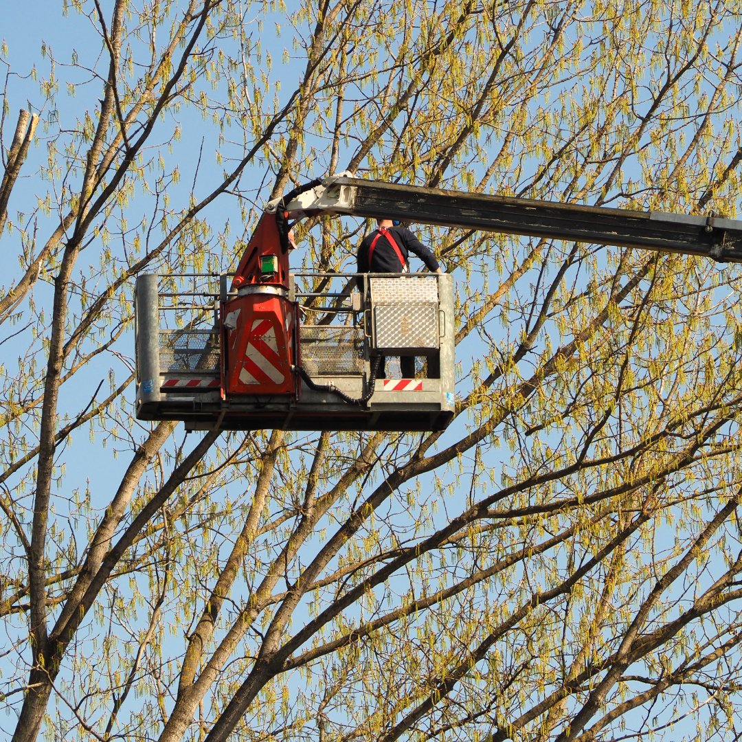 Person on cherry picker in air.