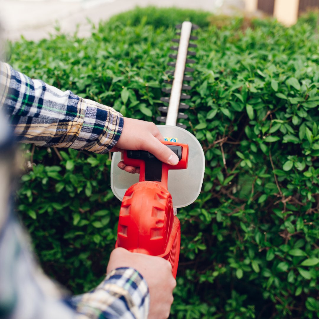 Close up of person using bush cutter on hedge