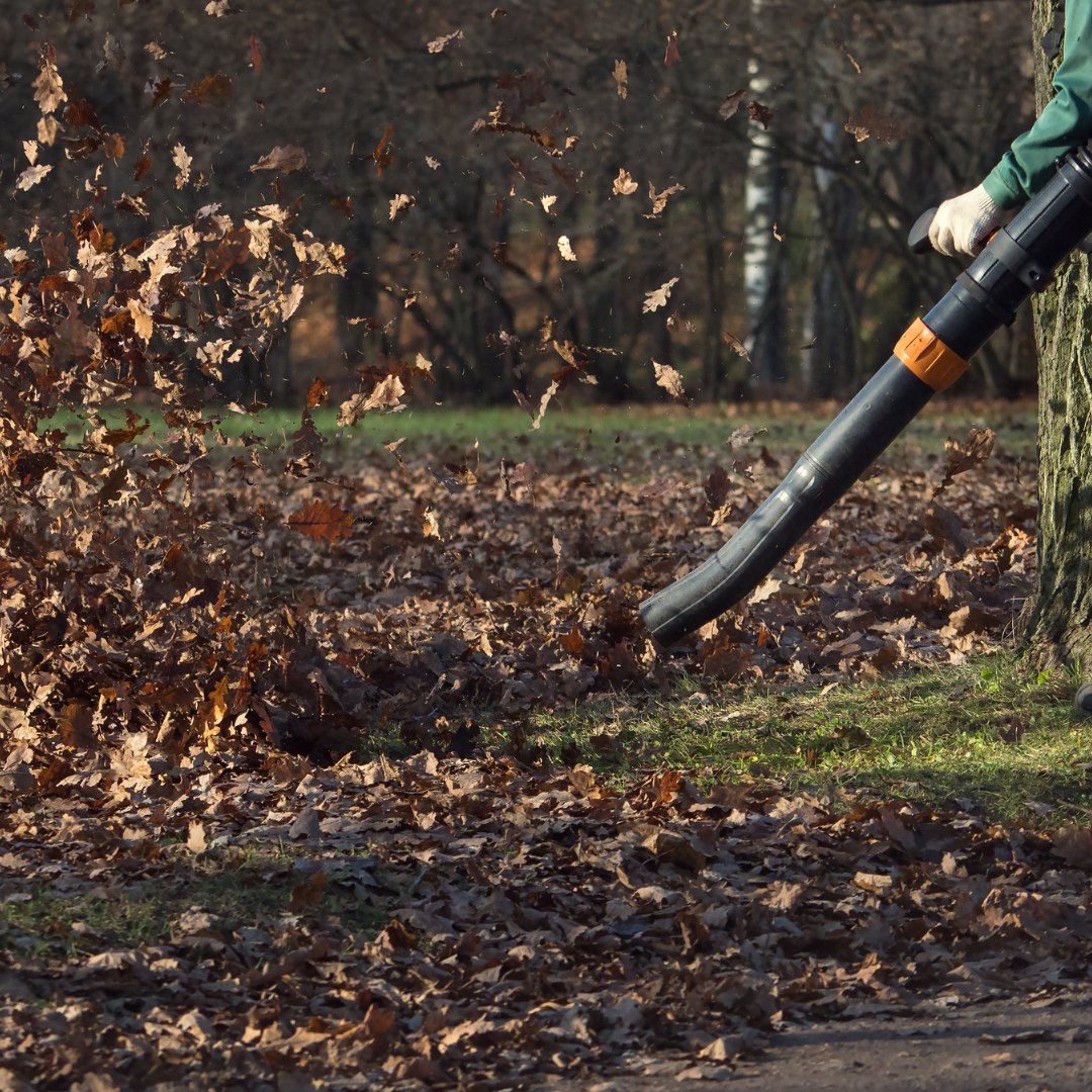 Person using leafblower blowing leaves.