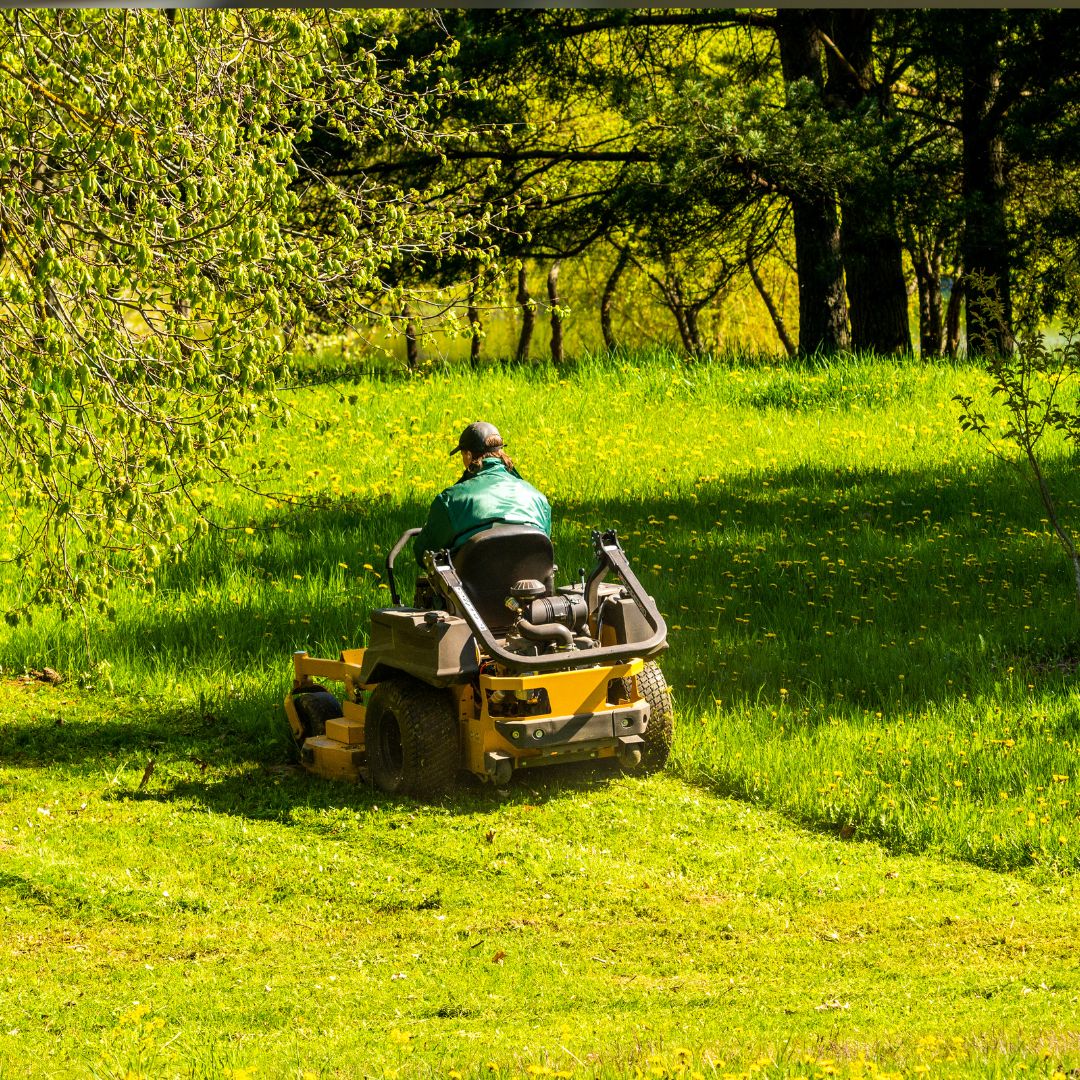 Person driving ride-on lawnmower through grass.