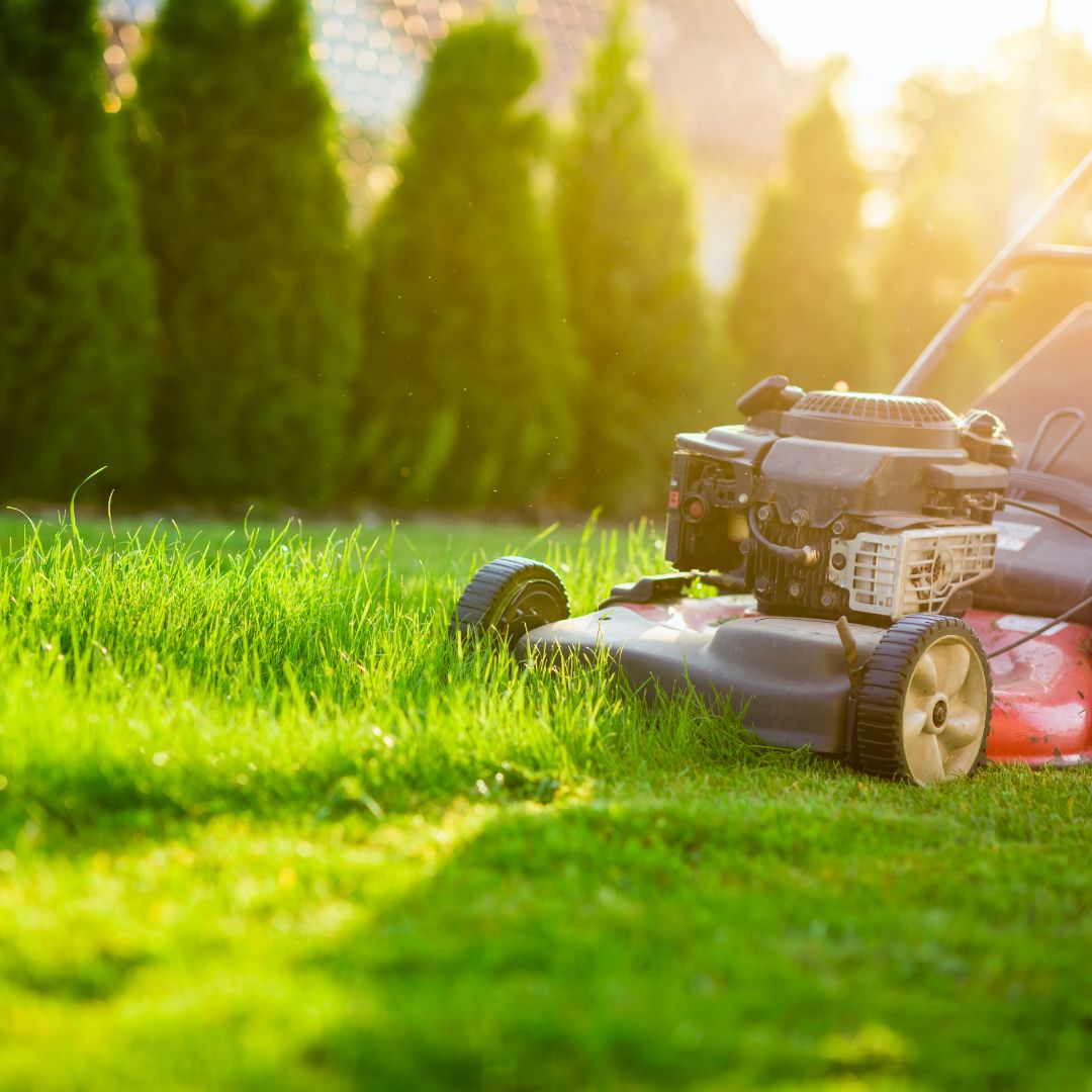 Lawnmower mowing grass.