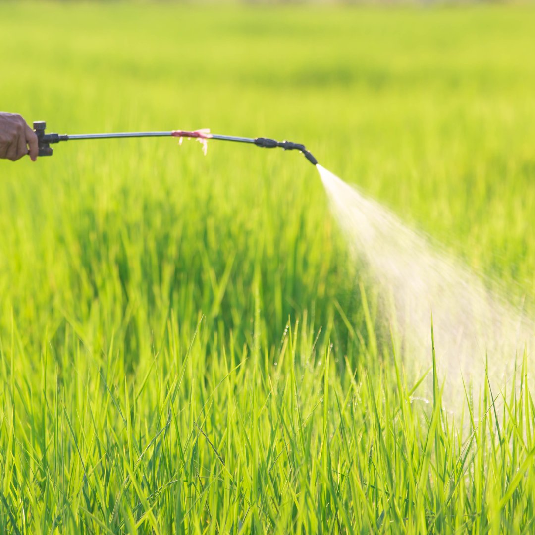 Pesticide bottle spraying onto grass