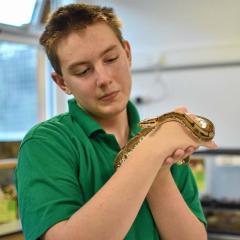 male student in green shirt holding and looking at a snake