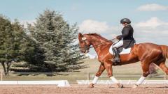 Girl riding a chestnut horse