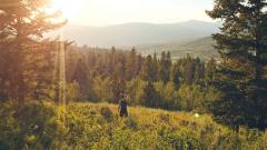 Someone standing in a field looking out at a view of a forest and hills