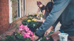 A close up of three people tending a raise flowerbed