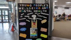 Mental health display board