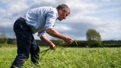 A farmer picking crops in a field