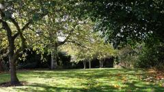 a picture of the Arboretum on a sunny day.