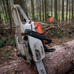 Chainsaw resting against log