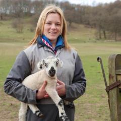 Student holding a lamb