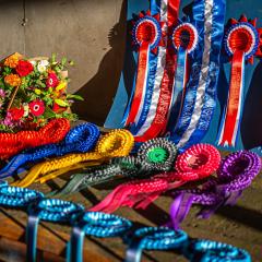 Photo of Rosettes