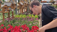 Supported Intern working in garden centre