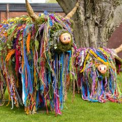 Floristry highland cows